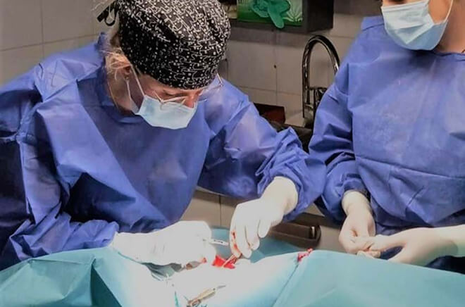 Chirurgie et hospitalisation