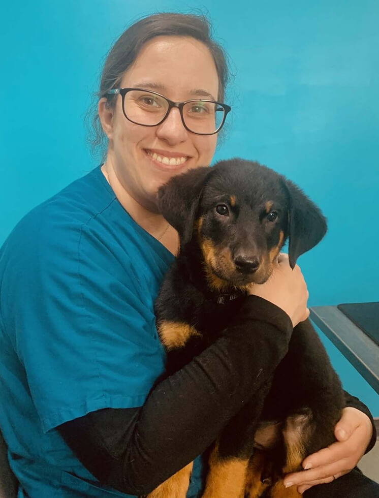 Veterinary services in Feignies